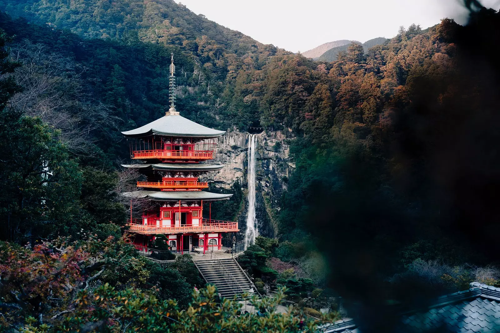 'Japan Neonen a Sakuras oder wéi d'Kontraste vum Land an engem 3-Minute Video ze weisen