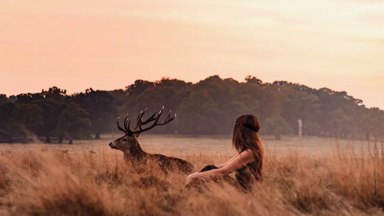 'Londoners' သည် လန်ဒန်သို့ ပေးစာတစ်စောင်ကို ဗီဒီယိုဖြင့် ပြုလုပ်ခဲ့သည်။