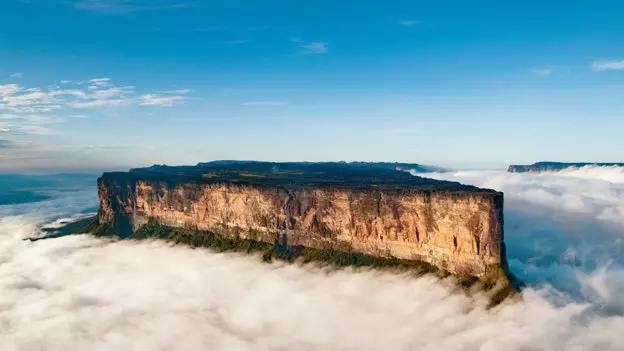 De tien essenties van Venezuela