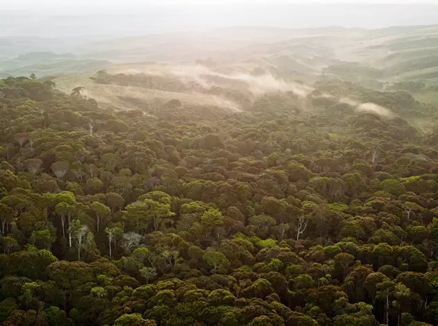 Terbang di atas Savannah Venezuela