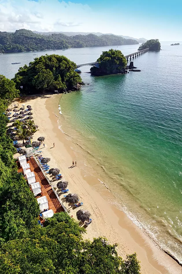 Vegetacija seže do obale plaža Samana