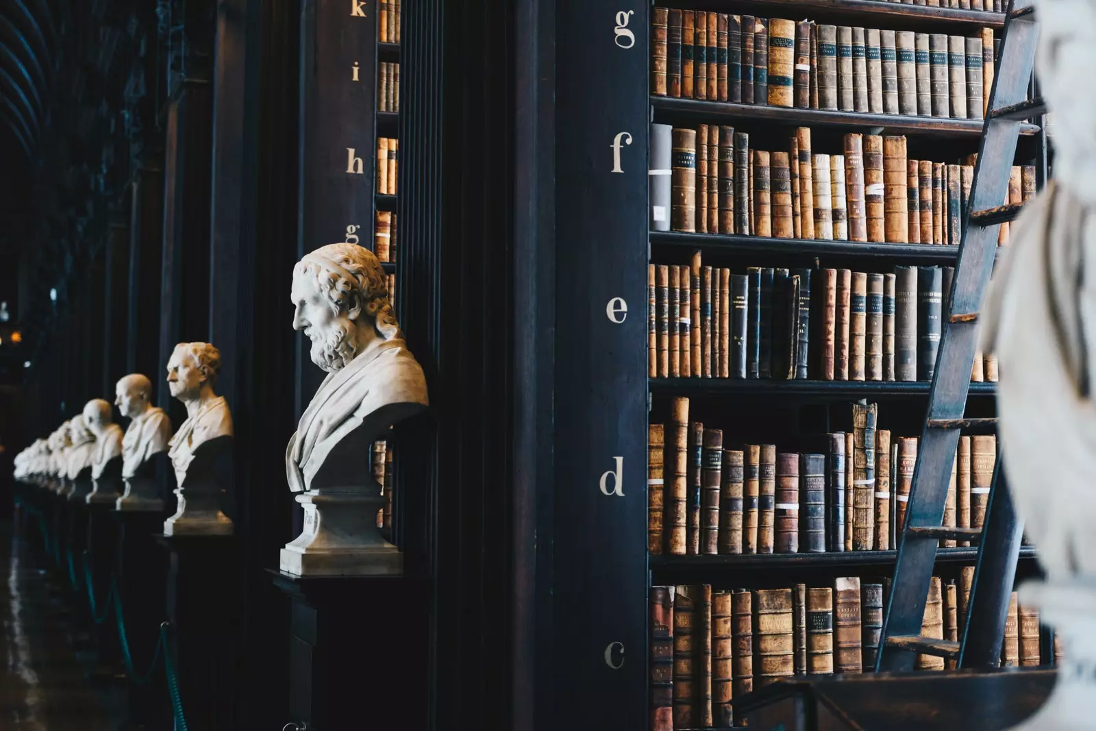 The Great Library Room of Trinity College Dublin