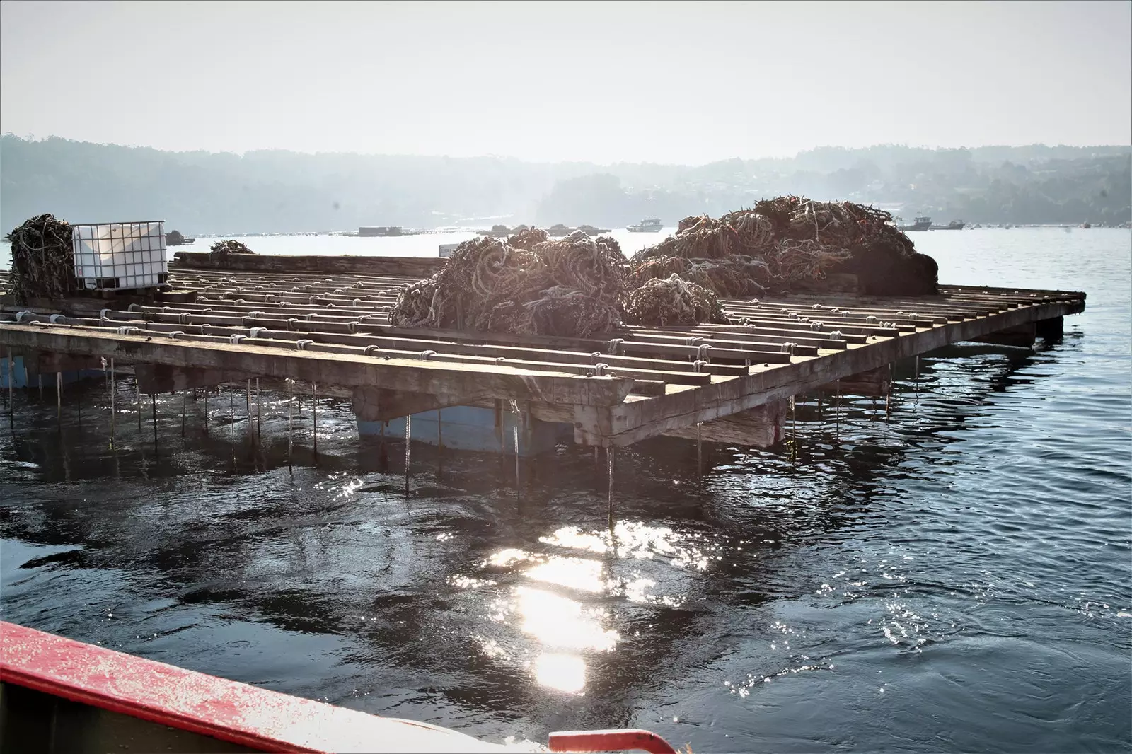 Un punt vu du bateau