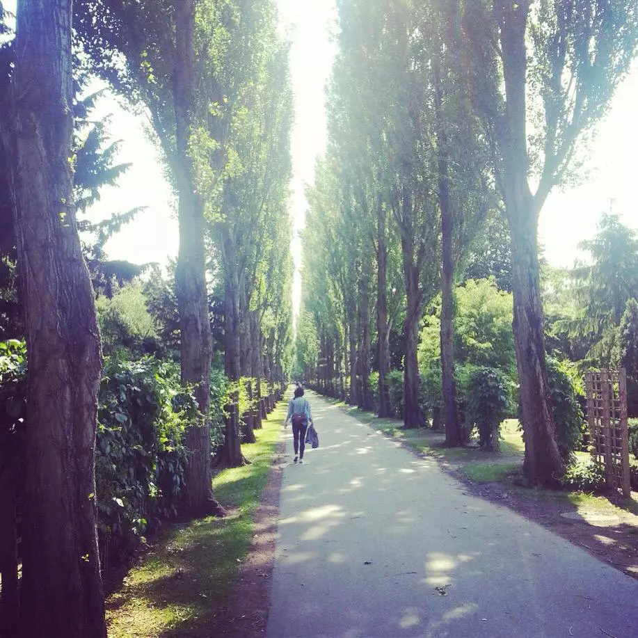 Parco del cimitero di Nørrebo