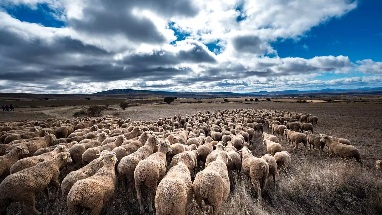 Storja tal-vjaġġaturi ta' Guadalaviar, belt nomadika