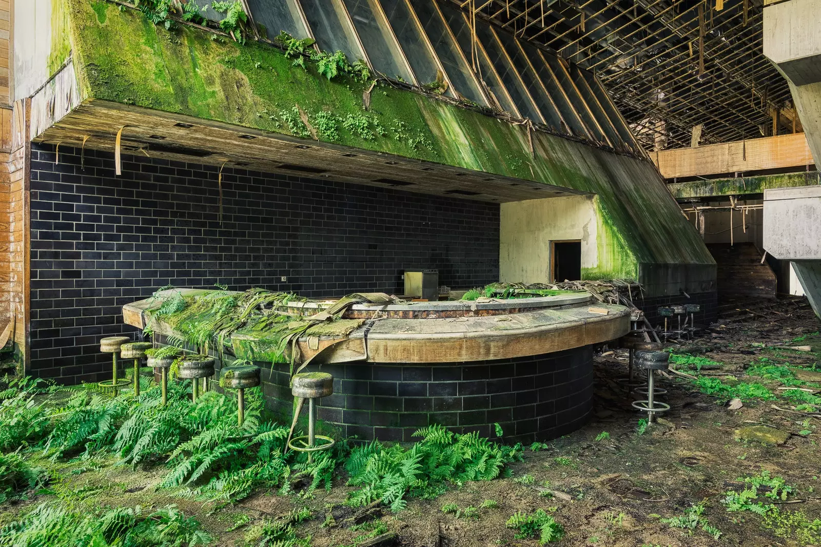 Barra d'un bar completament abandonat i cobert de mala herba fotografiat per Michael Schwan