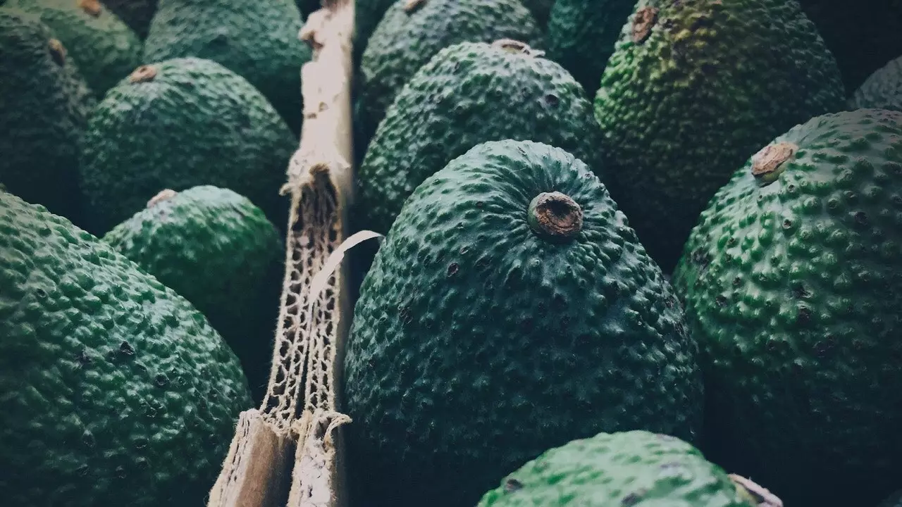 Is the capital of avocado in Spain on the verge of collapse?