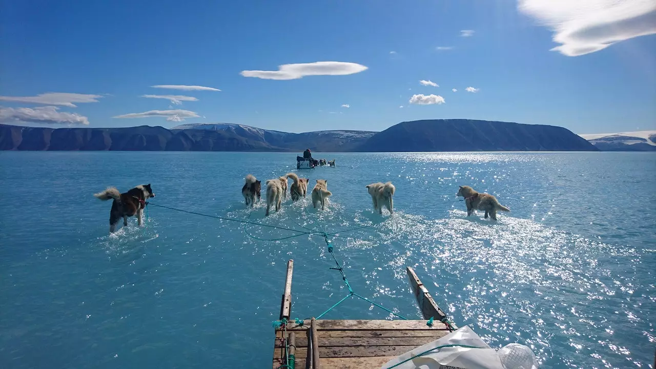 La photo virale de la fonte au Groenland cache un grand paradoxe scientifique