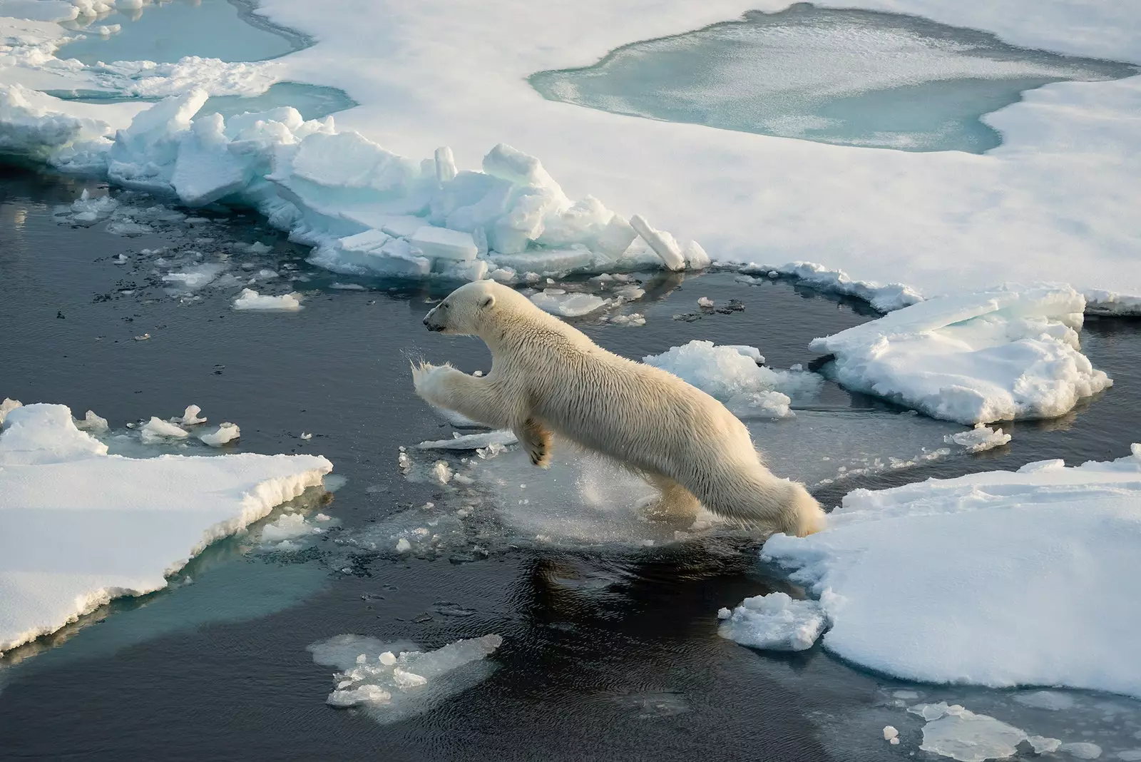 Greenland တွင် အရည်ပျော်ခြင်း၏ ဗိုင်းရပ်ဓာတ်ပုံသည် သိပ္ပံဆိုင်ရာ ဝိရောဓိကို ဖုံးကွယ်ထားသည်။