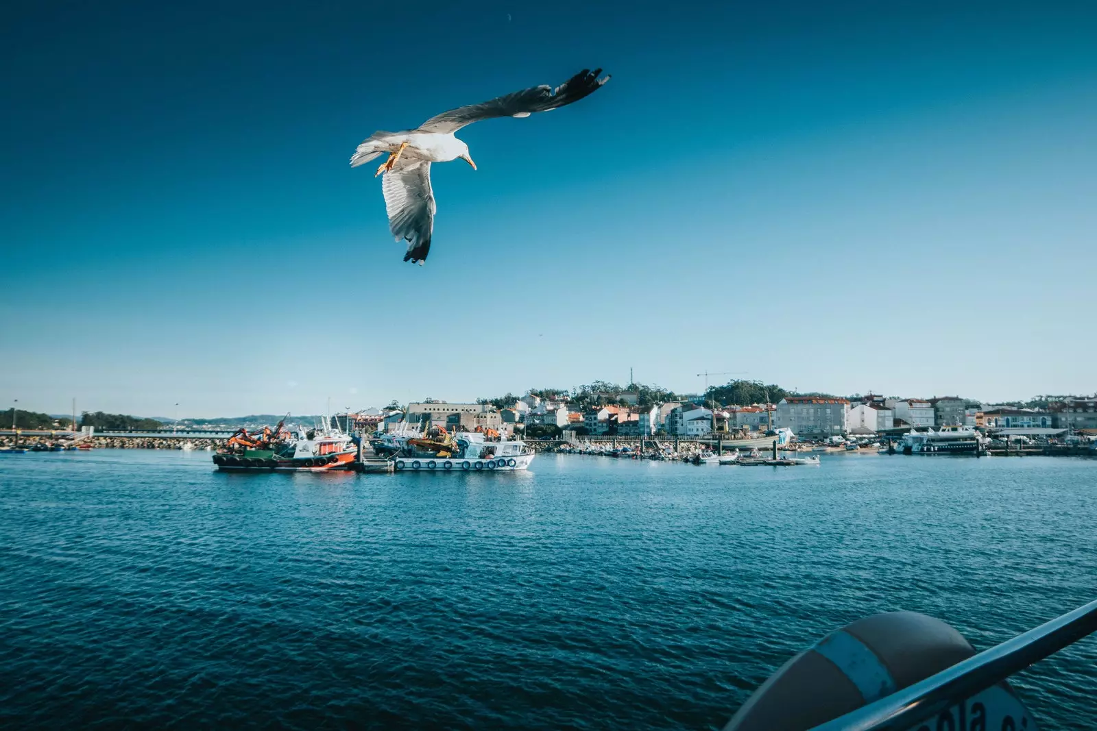 Galiçya'da her şey mümkün