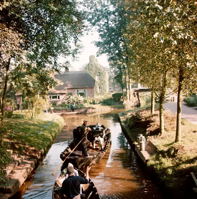 Giethoor