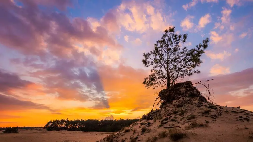 Timelapse pentru a descoperi Țările de Jos în patru sezoane