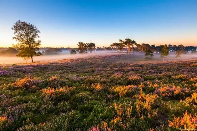 Tímabilið til að uppgötva Holland á fjórum árstíðum