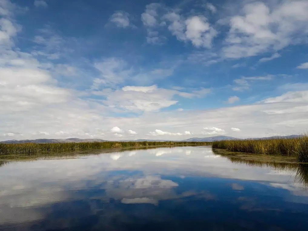 Titicaca National Reserve.