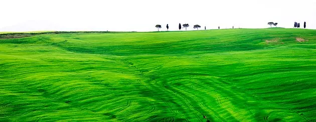 La variété des paysages