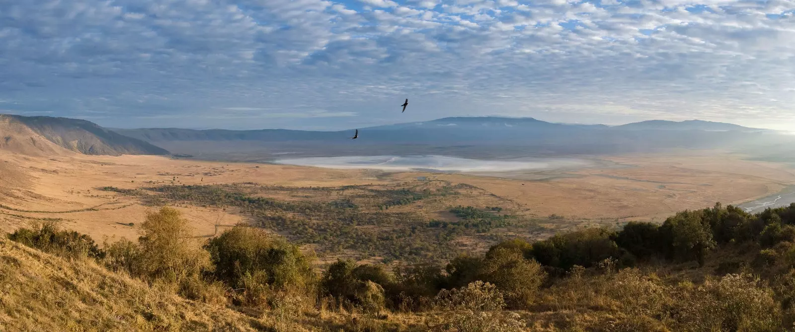 Ngorongoro kráter, kde sa zrodil život