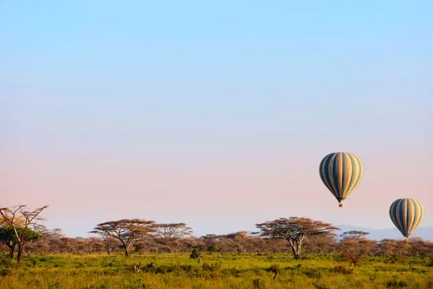 Nuba ilə Tanzaniya savannasının üzərində şarda.