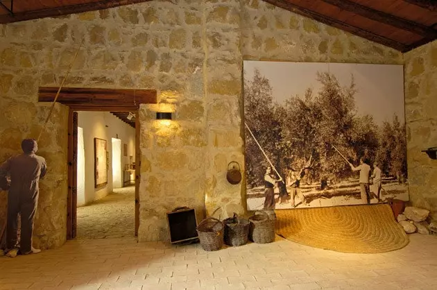 Olive Culture Museum