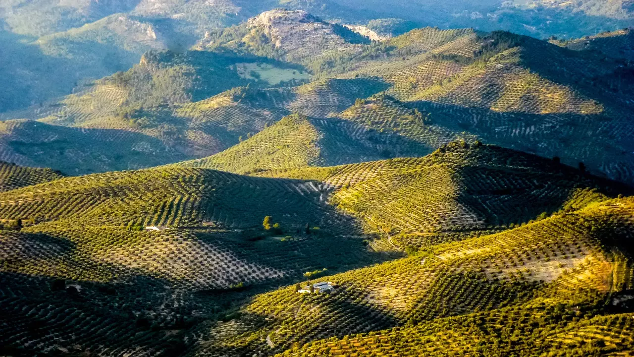 Waarom de landschappen van de Andalusische olijfgaard op de Werelderfgoedlijst moeten staan