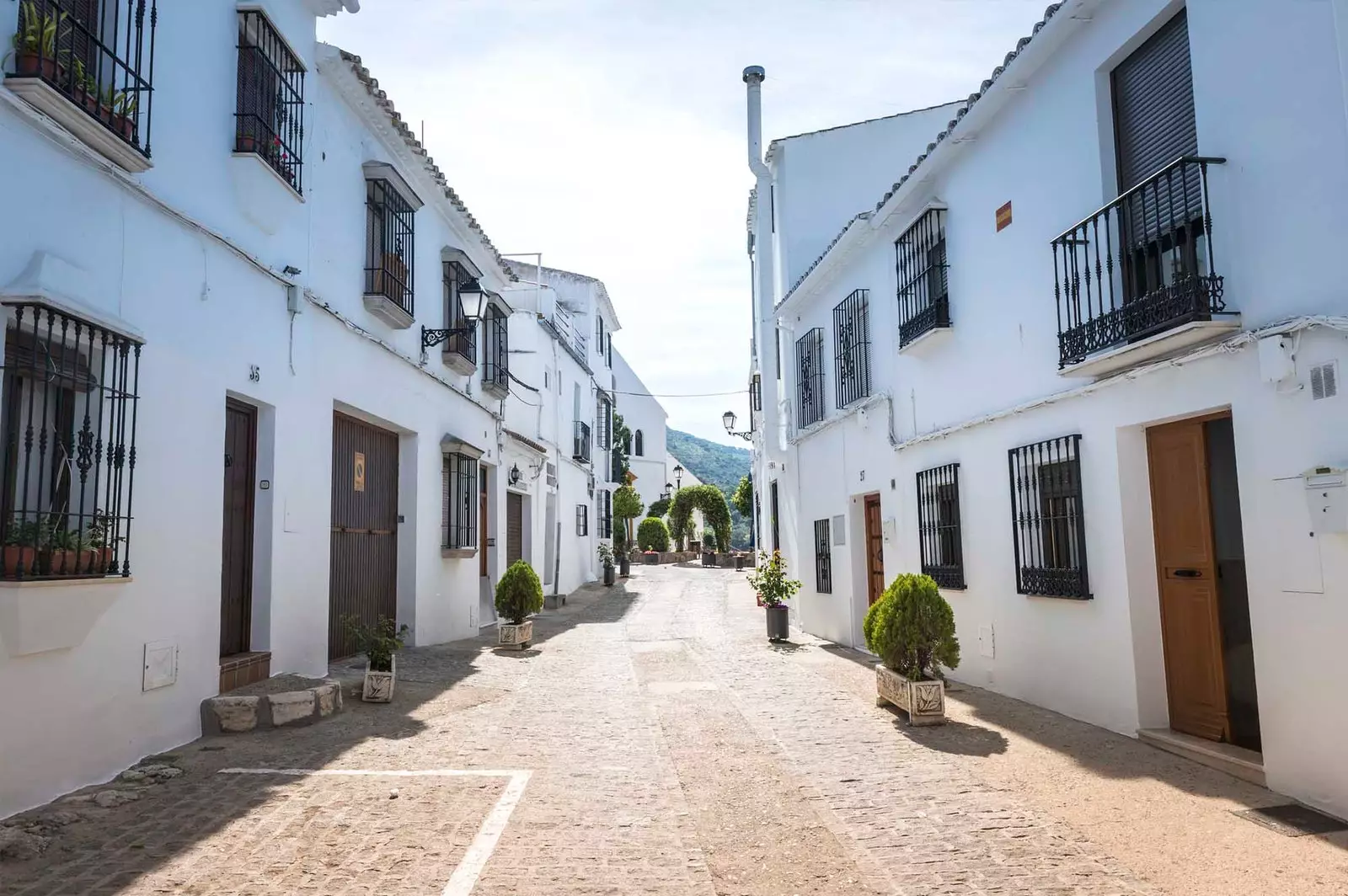 carrer de zuheros