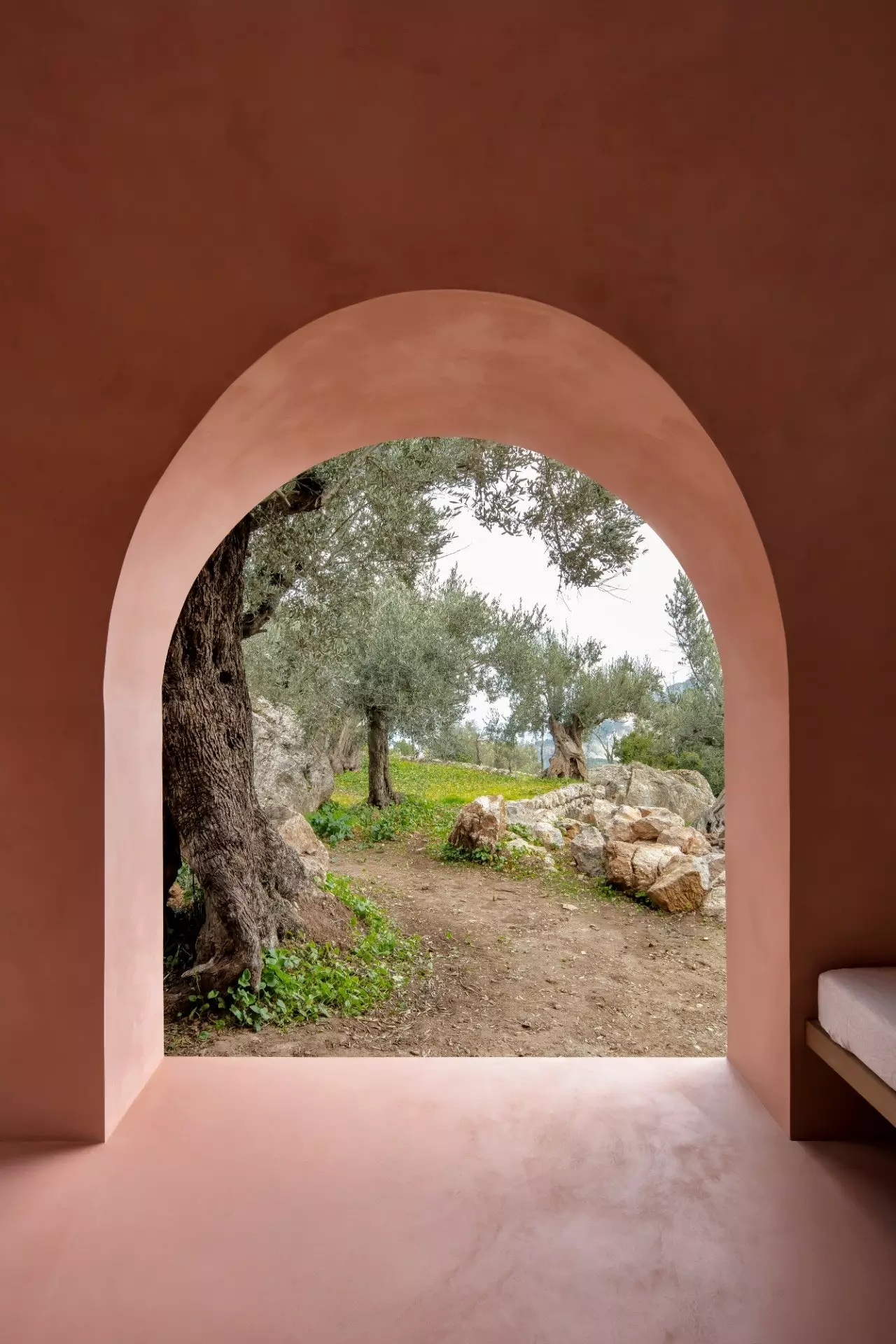 The Olive Houses where artists find inspiration