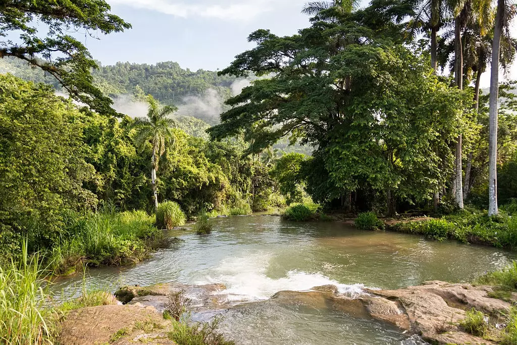 Niche në Trinidad