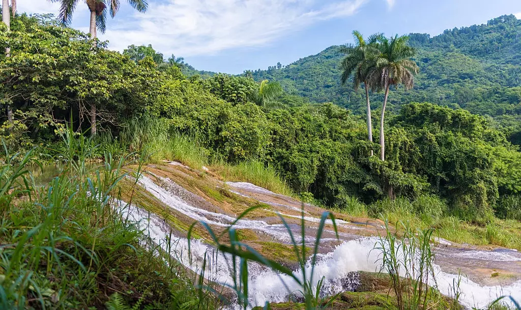 Die Nische in Trinidad