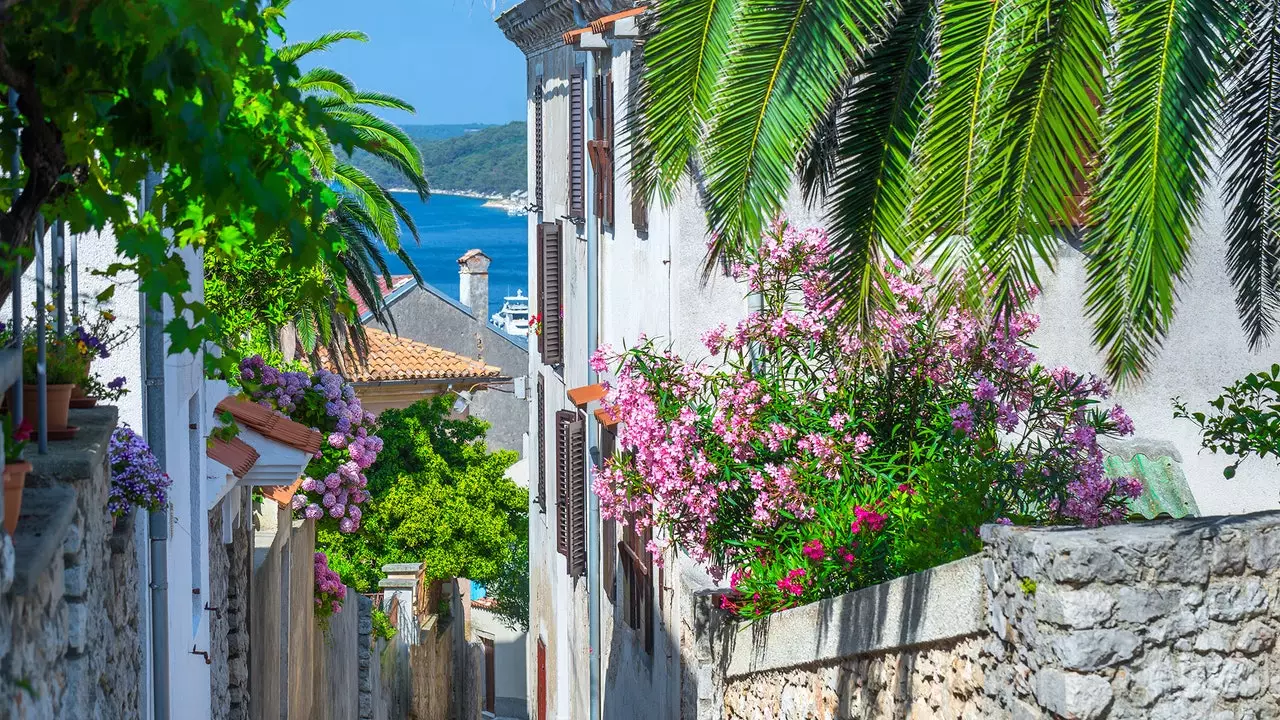 Das Paradies in Kroatien ist eine Insel und heißt Lošinj