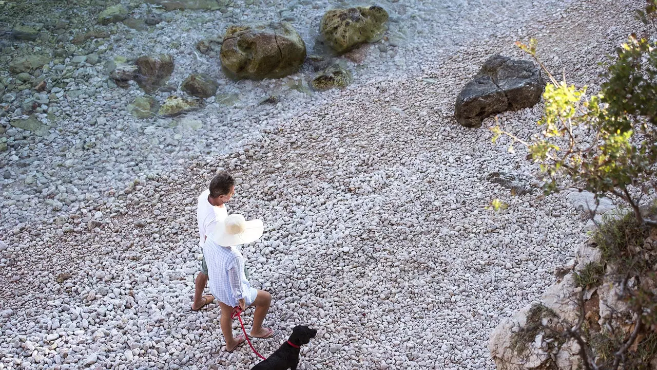 Croatia with a dog (and sharing beer on the beach)