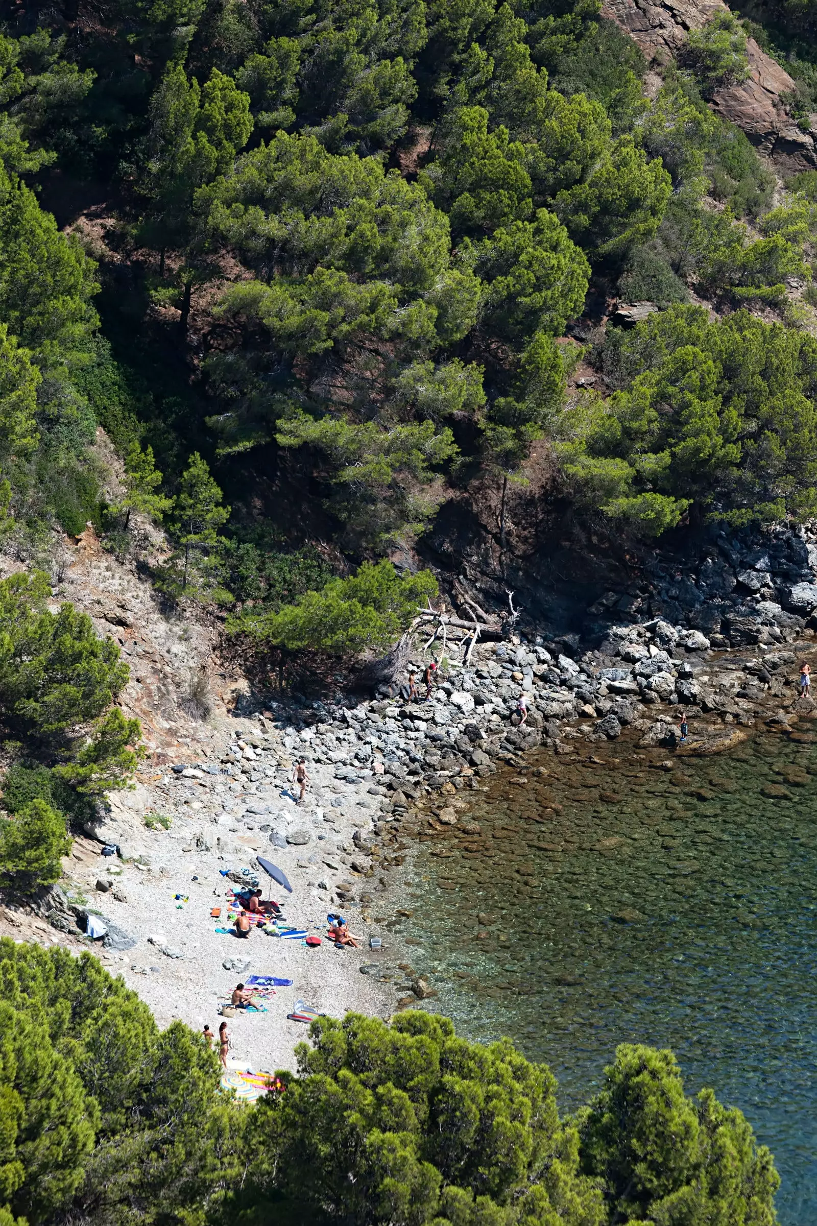 Cala Rustella roser.