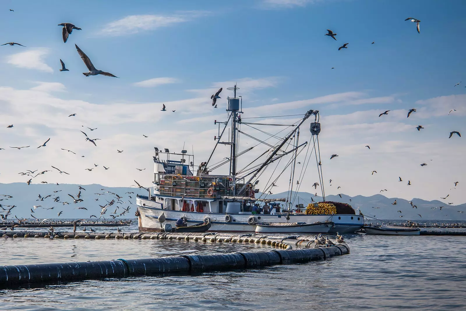 Leonardo DiCaprio's brilliant plan to end illegal fishing in the world