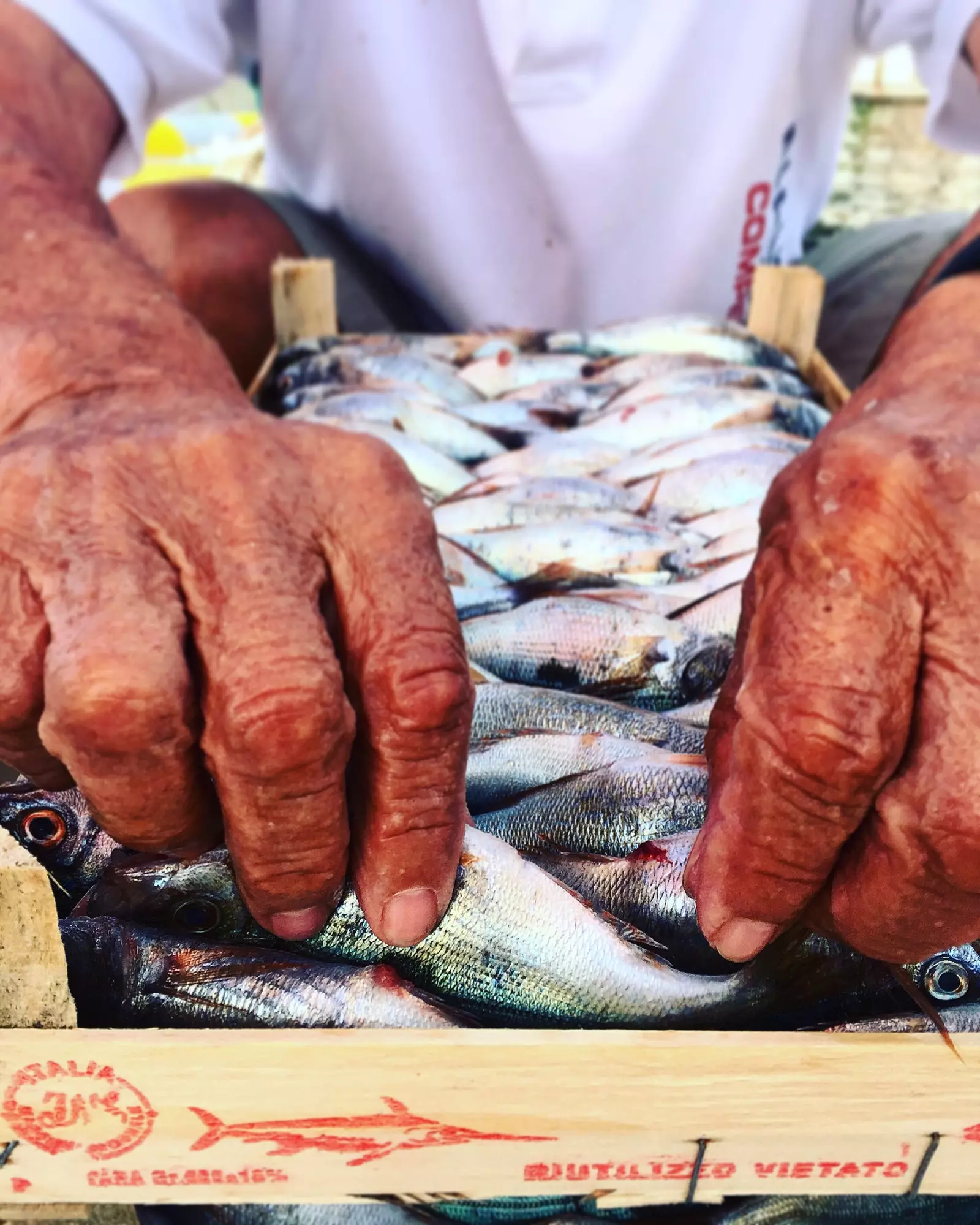 Mani di una persona che mette il pesce in una scatola di legno