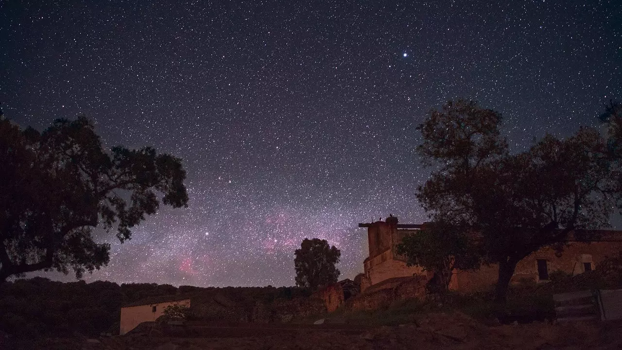 Tammede ja tähtede vahel, astronoomiasõprade "matš".