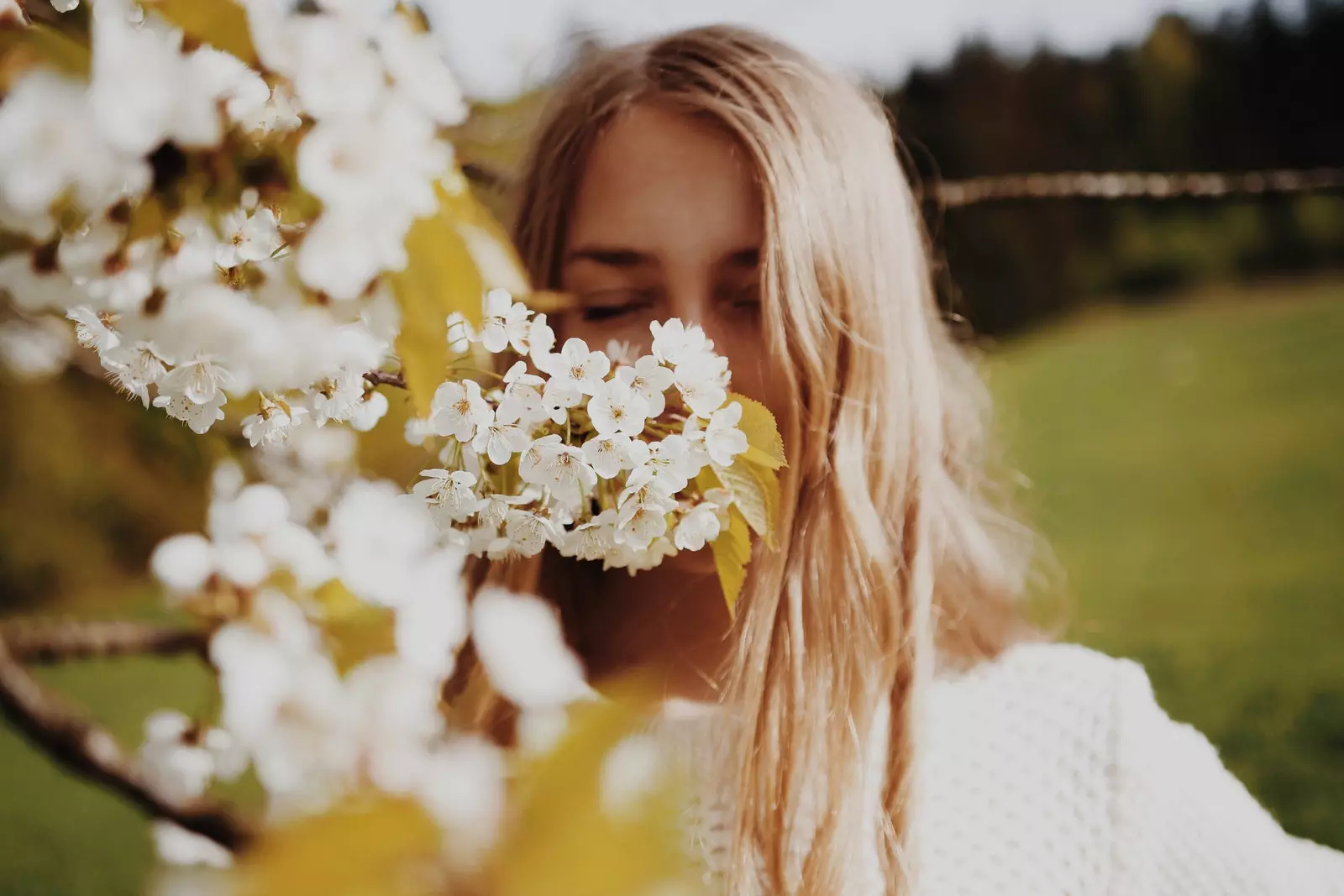 I 2022 lever vi blomstringen på markerne