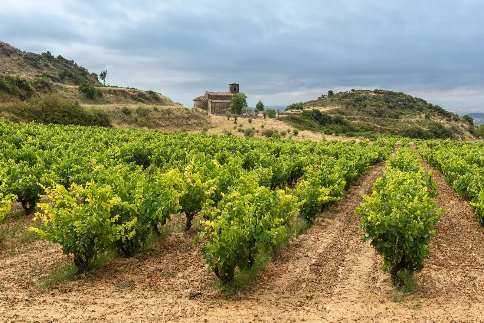 די וויניערדז וואָס אַרומרינגלען San Vicente de la Sonsierra