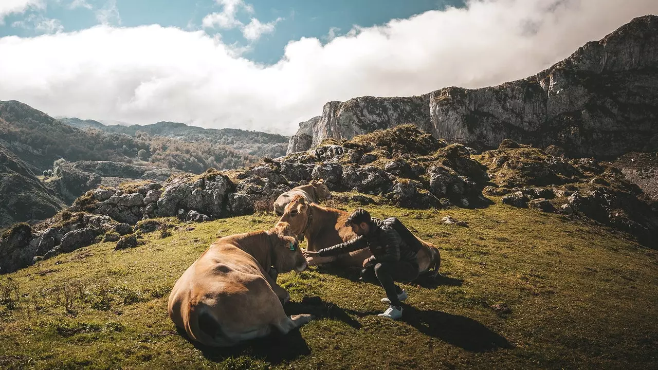 Mogu li stočarstvo i poljoprivreda spasiti Španiju od depopulacije?