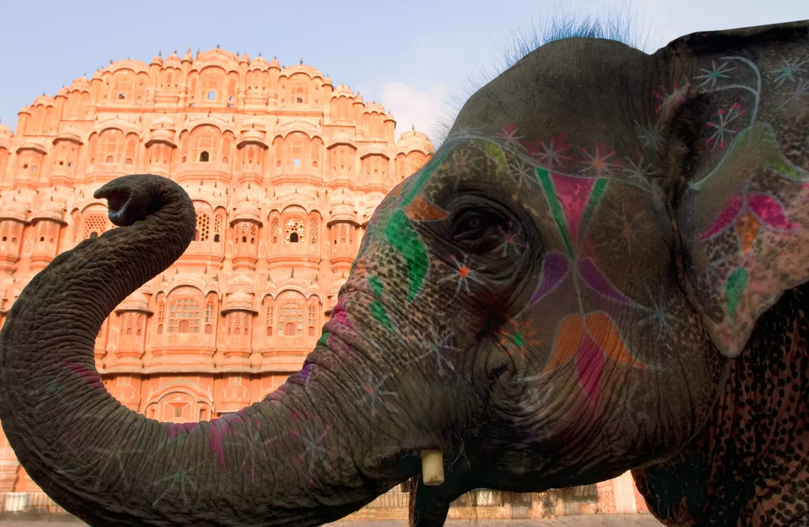 Elefant virum Hawa Mahal Palais zu Jaipur.