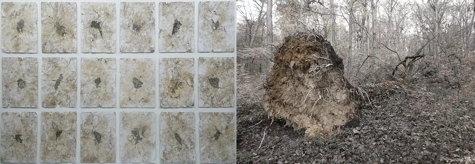 İki Parçalı Çizimler ve Fotoğraflar Ricardo Calero'dan Taunus'un Hafızası.