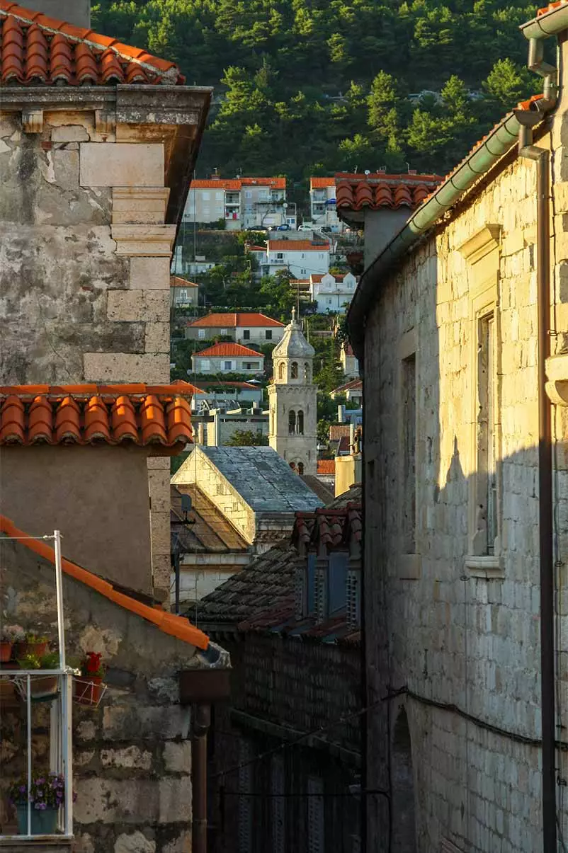 dubrovnik dominikan monastırı