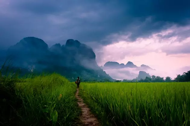 Mashamba ya mpunga katika eneo la Vang Vieng