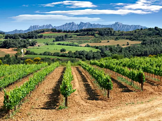 Enoturizmus Penedès