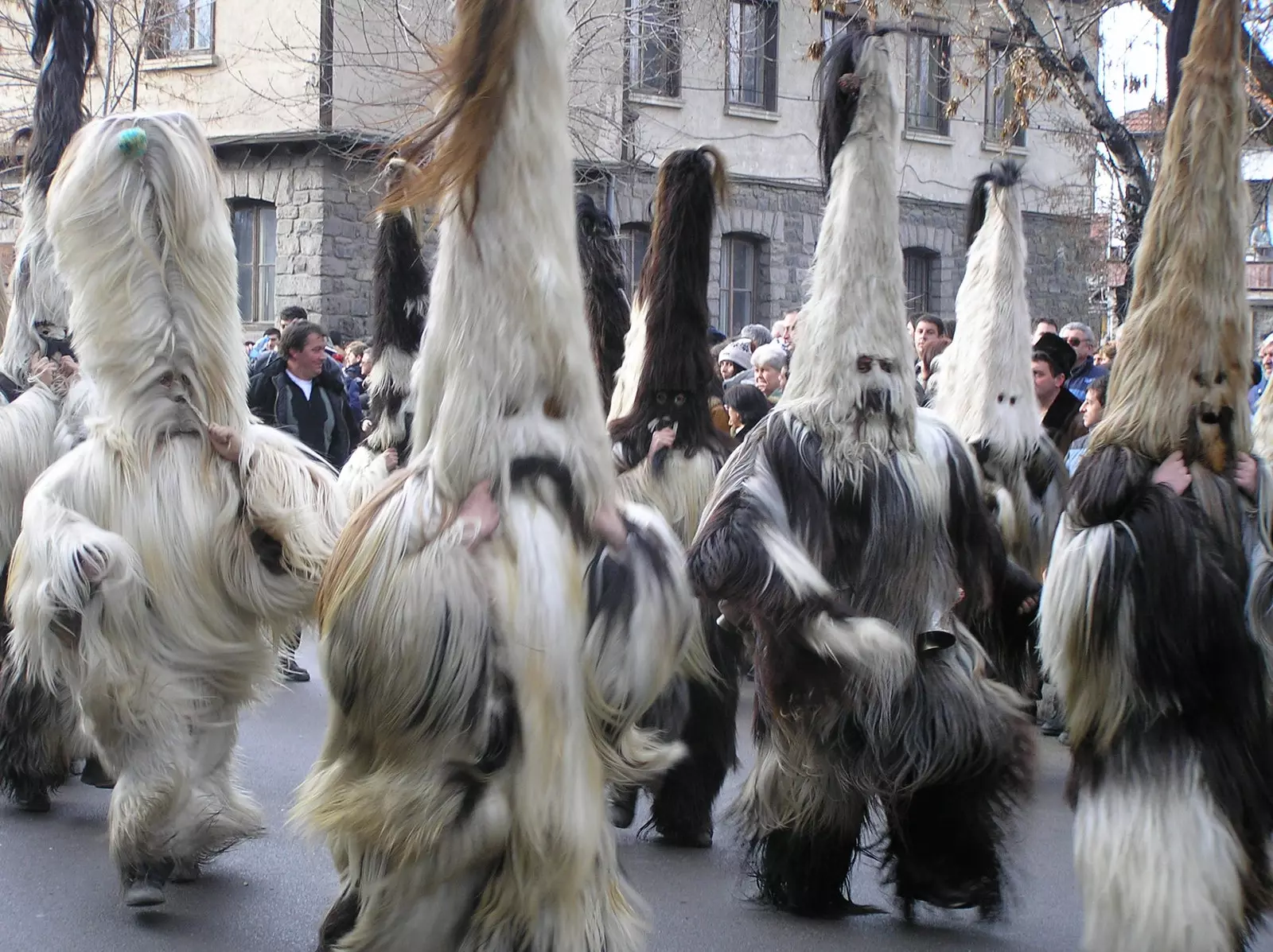 Kukeri بلغاريا.