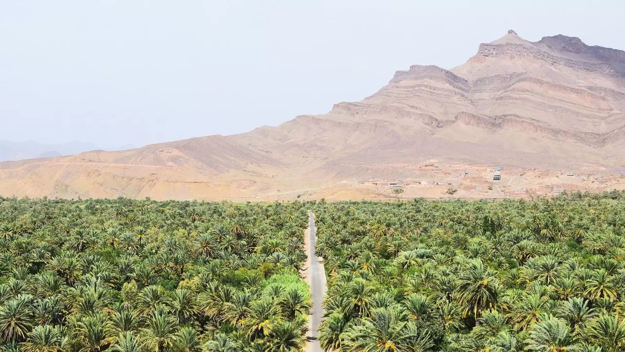 मोरक्को में द्रारा घाटी या रेगिस्तान की हरियाली