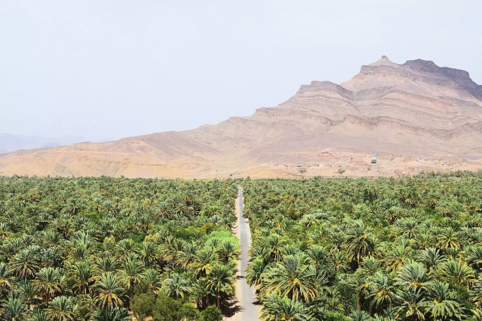 Draa-flodens dal eller det grønne, der springer ud før Sahara-ørkenen