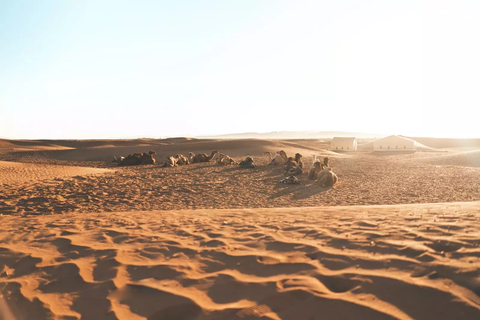 Zagora ass d'Paart vun der Wüst