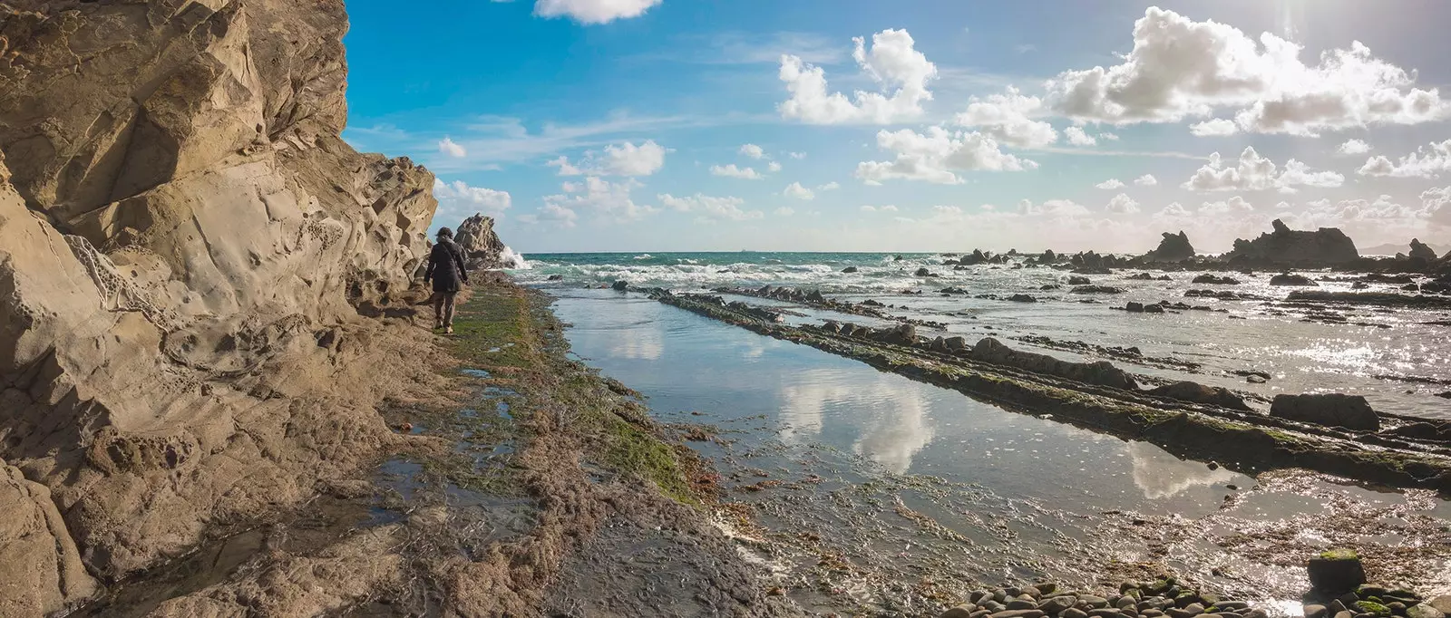 Algecirasin Flysch Cádizissa