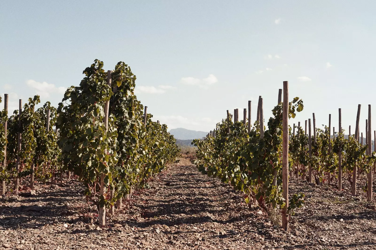 Trossos Priorat қонақ үйі