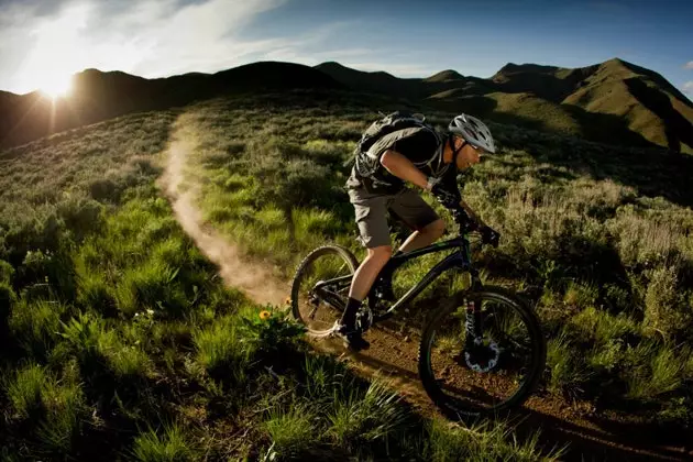 Trekking-Mountainbike