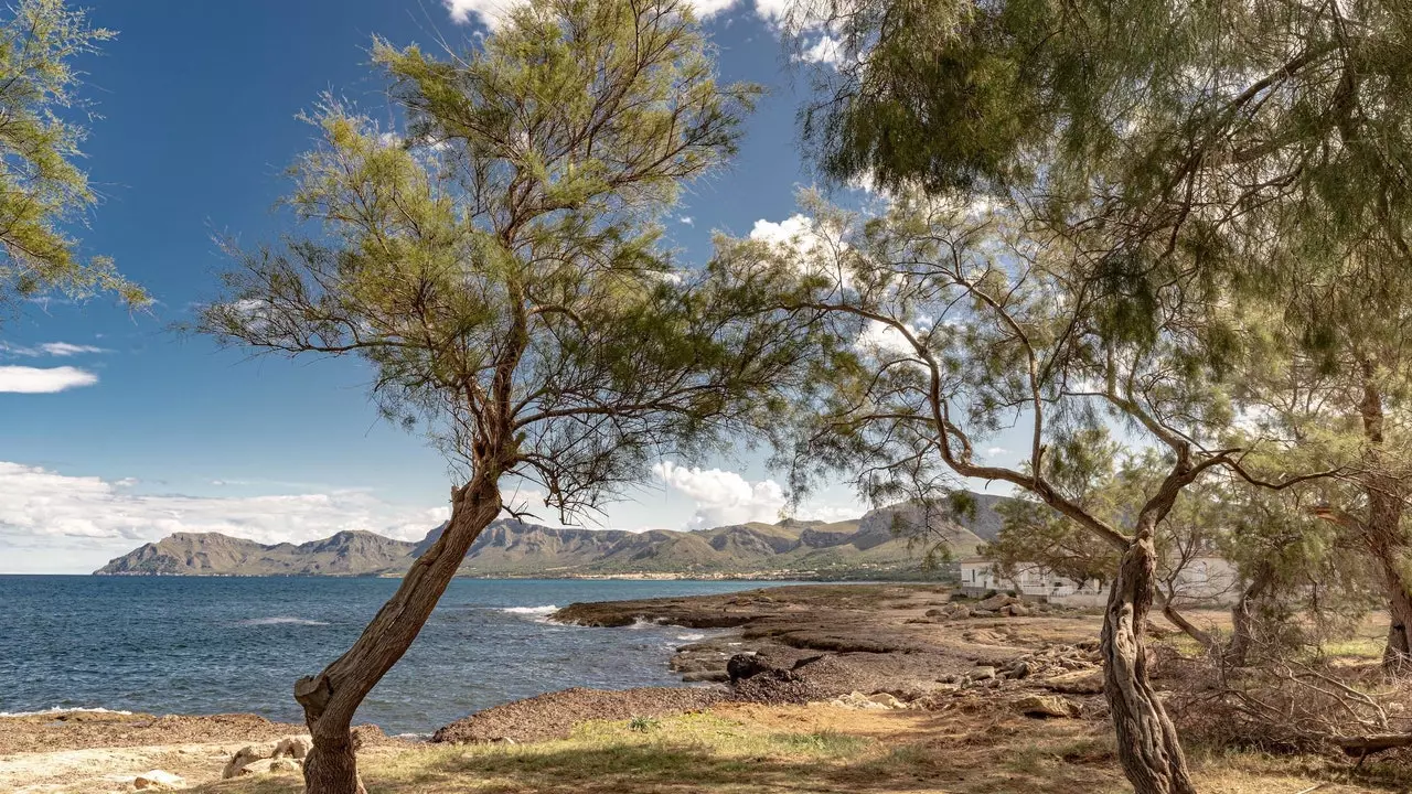 마요르카의 마지막 에덴은 Son Serra de Marina라고 불립니다.