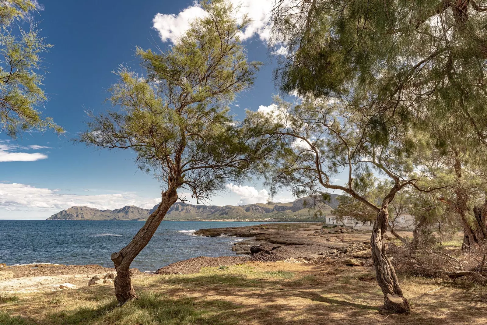 די לעצטע עדן פון מאַללאָרקאַ איז גערופן Son Serra de Marina